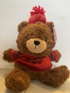 Coat and Toy Drive - Donated Teddy Bear